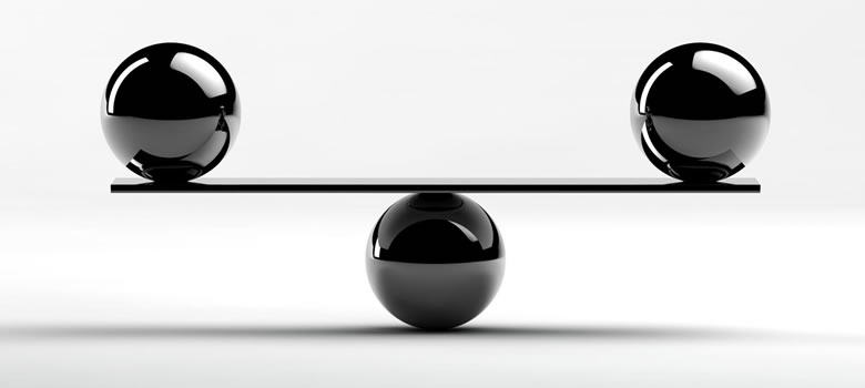 bilancio delle competenze